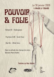 Pouvoir et Folie 
